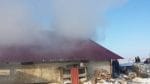 incendiu ferma animale Dumbraveni (4)