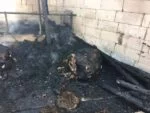incendiu Partestii de Jos (2)