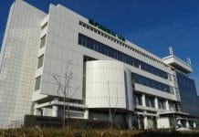 Romsilva cere studiu de impact solid înainte de orice reorganizare