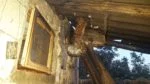 incendiu Capu Codrului (3)
