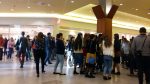 bursa locurilor de munca 8
