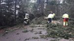 copac drum furtuna (7)