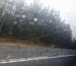 lapovita ninsoare (1)