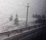 lapovita ninsoare (2)