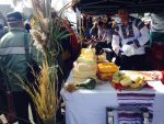 targ de toamna cluj (11)