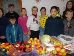 fructe legume donatie (3)
