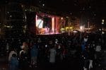 iluminat festiv sarbatori (1)