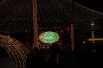 iluminat festiv sarbatori (29)
