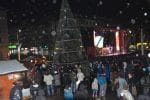 iluminat festiv sarbatori (8)
