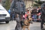 defilare (32)