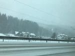 iarna – zapada – mestecanis (8)