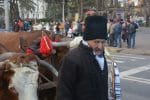 obiceiuri si traditii anul nou (10)