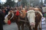 obiceiuri si traditii anul nou (108)
