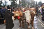 obiceiuri si traditii anul nou (109)