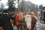 obiceiuri si traditii anul nou (110)