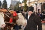 obiceiuri si traditii anul nou (111)