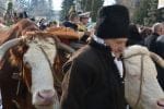 obiceiuri si traditii anul nou (120)