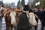 obiceiuri si traditii anul nou (121)