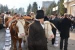 obiceiuri si traditii anul nou (122)