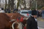 obiceiuri si traditii anul nou (7)