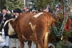 obiceiuri si traditii anul nou (91)