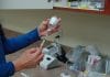 Numărul cazurilor de rujeolă a scăzut în Suceava, dar acoperirea vaccinală ROR rămâne sub media națională