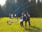 Domeniul Cailor – Bucovina frizieni (2)