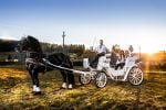 Domeniul Cailor – Bucovina frizieni (9)