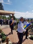 lungu coroană (1)
