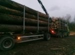 garda forestiera lemn busteni (2)
