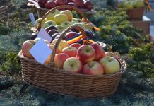 Fălticeniul devine capitala mărului din Bucovina. Trei zile de produse locale, meșteșuguri și spectacole folclorice la cea de-a XXI-a ediție a Târgului Mărului
