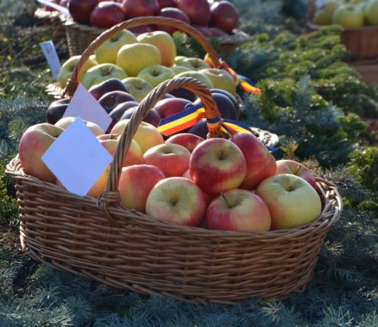 Fălticeniul devine capitala mărului din Bucovina. Trei zile de produse locale, meșteșuguri și spectacole folclorice la cea de-a XXI-a ediție a Târgului Mărului
