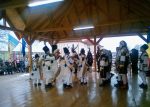 Porniți plugul, măi flăcăi (6)