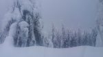 zăpadă iarna ninsori viscol polei