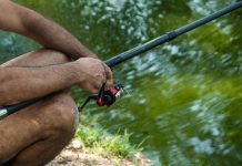 Anunț public privind practicarea pescuitului recreativ la păstrăv pe fondurile piscicole administrate de către Direcția Silvică Suceava