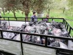 voluntar de ziua pământului (1)