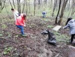 voluntar de ziua pământului (4)
