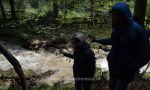 migranți guineea franceză  (3)