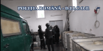 percheziții-diicot