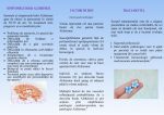 Pliant profesionisti Alzheimer_Ziua Mondială de Luptă Împotriva Maladiei Alzheimer