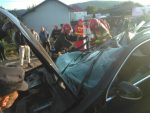 accident-bivolărie-5
