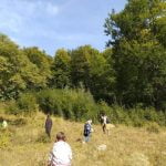 Copiii din Grupa de Cateheză de la Biserica „Sfântul Dumitru” din Suceava