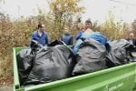 actiune-ecologizare-padure-canotaj-4