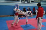 Comunicat de presa – 6 ani de Brilliant Taekwondo (3)