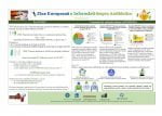 Infografic – Ziua Europeană a Informării despre Antibiotice
