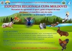 afis expozitie cristi catea