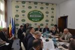 consiliul judetean (7)