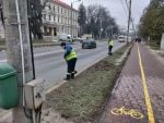 curățenie salubrizare trotuare străzi (1)
