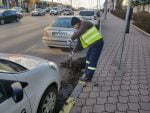 curățenie salubrizare trotuare străzi (6)
