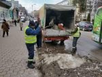 curățenie salubrizare trotuare străzi (7)